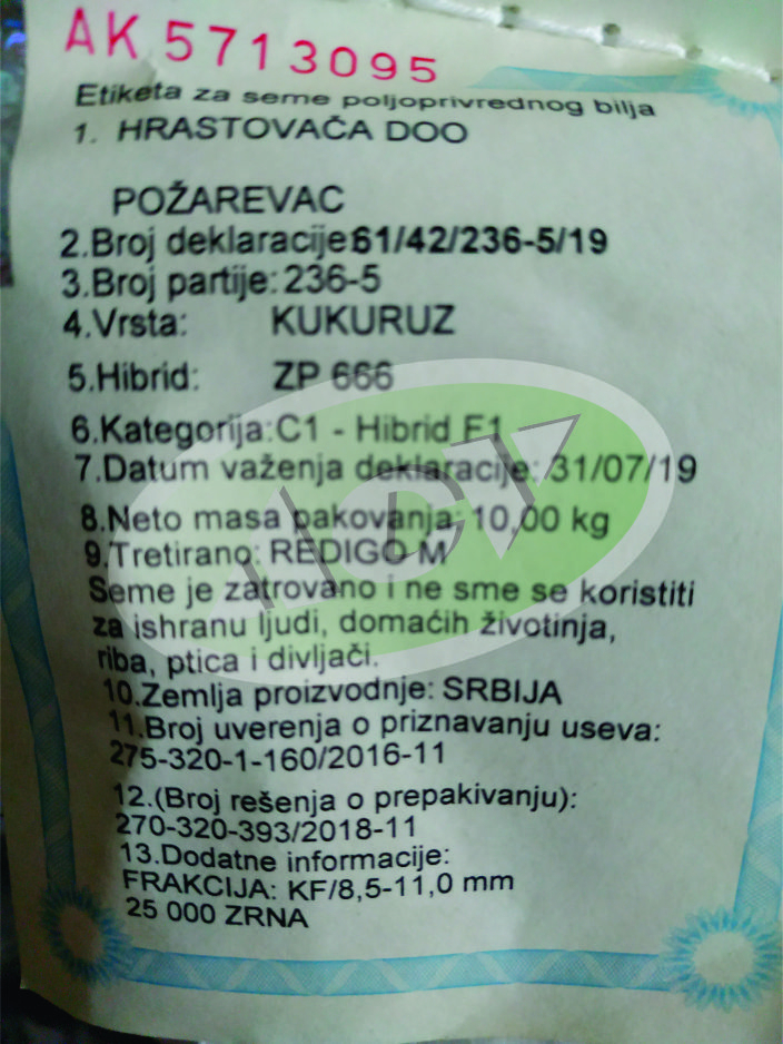 SEM.KUKURUZ 666 ZP
